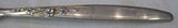 Summer Song by Lunt Sterling Silver Teaspoon 6" New