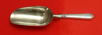 Nellie Custis by Lunt Sterling Silver Ice Scoop HHWS Custom Made 9"