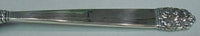 Northern Lights by International Sterling Silver Olive Spoon Pcd Custom 5 7/8"