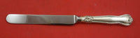 Provence by Tiffany and Co Sterling Silver Dinner Knife Blunt 10" Flatware