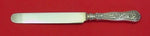 Olympian by Tiffany and Co Sterling Silver Regular Knife Blunt SP Blade 9 3/8"