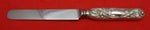 Chrysanthemum by Tiffany and Co Sterling Silver Dessert Knife HH WS Blunt Orig
