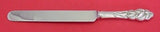 Ailanthus by Tiffany and Co Sterling Silver Dinner Knife Blunt 9 3/4" Flatware