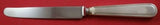 Hamilton aka Gramercy by Tiffany and Co Sterling Dinner Knife French 9 1/2"