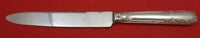 Marie Antoinette by Odiot French Sterling Silver Dinner Knife 9 3/4" Flatware