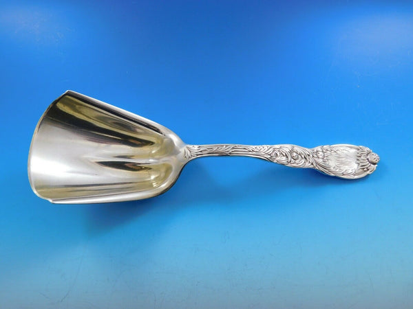 Chrysanthemum by Tiffany and Co Sterling Silver Cracker Scoop 8 3/8" Server