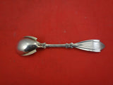 Palace by Coles-Shiebler Sterling Silver Salt Spoon master 3 3/4"