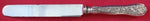 Olympian by Tiffany and Co Sterling Silver Breakfast Dessert Knife Blunt with SP