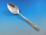 Intermezzo by National Sterling Silver Flatware Set Service 65 pcs Scandinavian