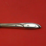 Romance of the Stars by International Sterling Silver Butter Spreader HH 6 1/4"