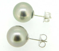 Grey Tahitian Pearl Earrings with 14k White Gold Posts (#J4085)