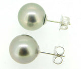 Grey Tahitian Pearl Earrings with 14k White Gold Posts (#J4085)