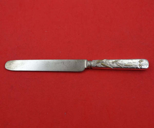 Lap Over Edge Mixed Metals by Tiffany and Co Sterling Regular Knife w/Ladybug 9"