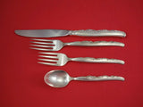 Flower Lane by Oneida Sterling Silver Regular Size Place Setting(s) 4-Piece