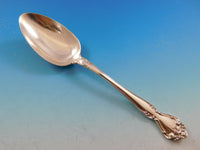 Secret Garden by Gorham Sterling Silver Flatware Set For 12 Service 53 Pieces