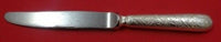 Jardin D'Eden by Christofle Sterling Silver Regular Knife New Never Used 8"