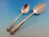 English Shell by Lunt Sterling Silver Flatware Set for 12 Service 64 pieces