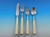 Spectrum by Stanly Roberts Stainless Steel Flatware Set 20 pcs