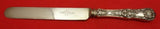 English King by Tiffany and Co Sterling Silver Dinner Knife Blunt Tiffany Blade