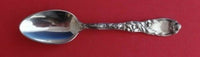 Chrysanthemum by Tiffany and Co Sterling Silver Teaspoon 5 7/8" Flatware