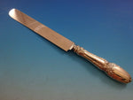 Broom Corn by Tiffany & Co. Sterling Silver Dinner Knife Blunt Blade 10"