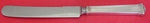 Theseum by International Sterling Silver Dinner Knife Blunt 10" Flatware