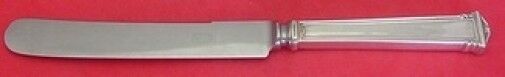 Theseum by International Sterling Silver Dinner Knife Blunt 10" Flatware