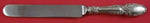 Broom Corn by Tiffany and Co. Sterling Silver Regular Knife Blunt 8 5/8"