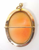 10k Rose Gold Scenic Genuine Natural Cameo Pin / Pendant Ducks (#J3494)