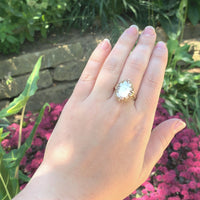 10k Yellow Gold Genuine Natural Shell Cameo Ring Carved with a Rose (#J6216)