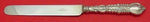 Florentine by Tiffany and Co Sterling Silver Dinner Knife Blunt 10 1/2"
