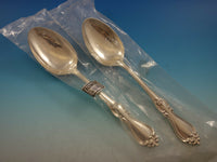 Queen Elizabeth I by Towle Sterling Silver Flatware Set 12 Service 107 pcs New