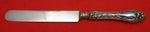 Narcissus by Lunt Sterling Silver Regular Knife Blunt Silverplate Blade 8 3/4"