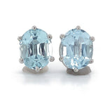 Platinum Oval 5.38ct TW Genuine Natural Aquamarine Stud Earrings (#J6472)