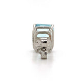 Platinum 4.96ct Genuine Natural Aquamarine Stud Earrings Jewelry (#J5698)