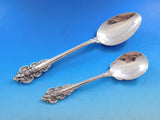 Botticelli by Frank Whiting Sterling Silver Flatware Set Service 75 pcs Dinner