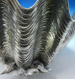 Egidio Broggi Milano Italian Sterling Silver Clam Shell GW Interior Lrg (#5137)