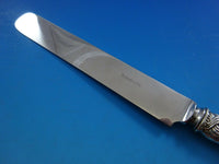 Broom Corn by Tiffany & Co. Sterling Silver Dinner Knife Blunt Blade 10"