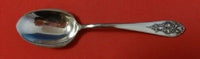 Pendant of Fruit By Lunt Sterling Silver Sugar Spoon 6"
