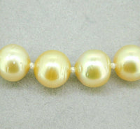 14k Yellow Gold 9mm Golden South Sea Pearl Necklace (#J4573)