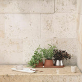 Terra by Georg Jensen Stainless Steel Planter Tray with Three Pots Set - New