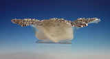 Rose by Black, Starr and Frost Sterling Silver Fruit Bowl Pierced #108 (#2983)