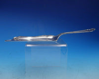 Fourteenth Century by Shreve Sterling Silver Crumber Set 2-Piece (#4712)