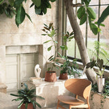 Terra by Georg Jensen Stainless Steel Planter Pot and Saucer, Small - New