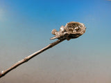 Birds Nest by Gorham Sterling Silver Sugar Spoon Mother Bird and Eggs 5 3/4"
