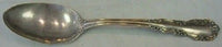 Wild Rose Old aka Rosalind By International Sterling Silver Serving Spoon 8 1/4"