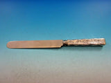 Lap Over Edge Acid Etched by Tiffany Sterling Silver Dinner Knife w/ Tomatoes