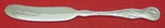 American Garden by Tiffany and Co Sterling Silver Butter Spreader FH 6"