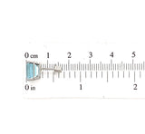 Platinum 4.96ct Genuine Natural Aquamarine Stud Earrings Jewelry (#J5698)