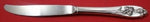 Silver Iris By International Sterling Silver Regular Knife Solid Handle 9 1/4"
